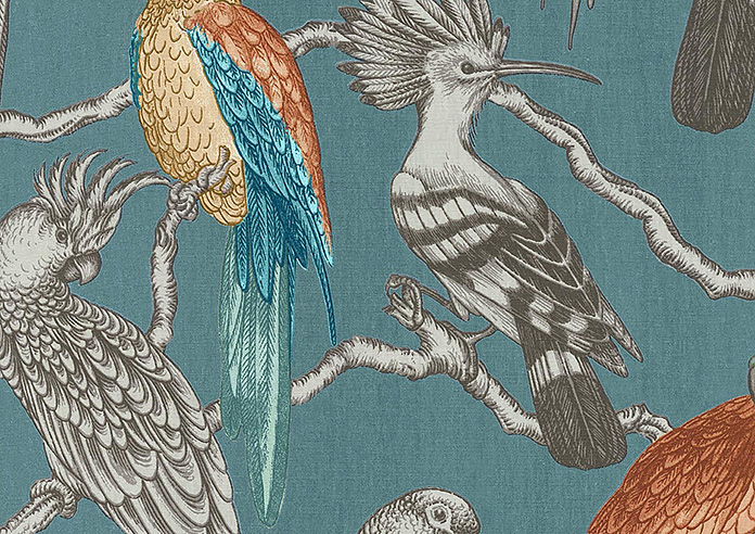 Aviary, Lagoon - Twist&Fit Roman Blind - Image 7